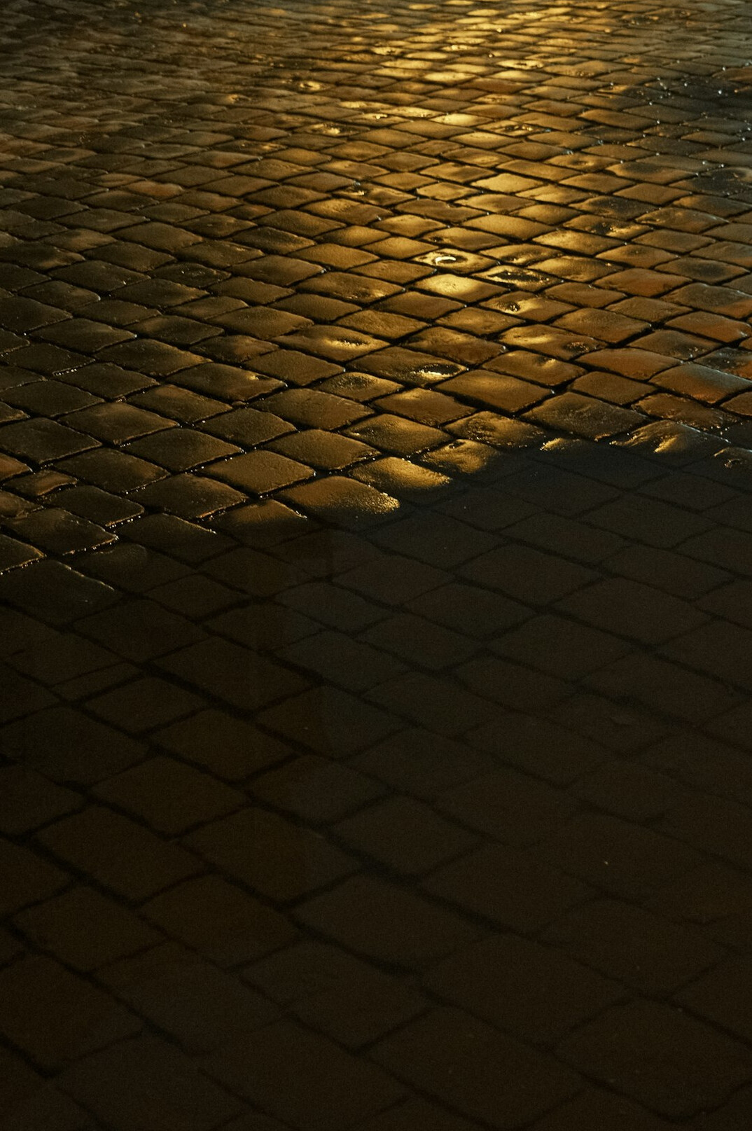 Rainy street at dusk with a glowing lamppost and wet cobblestones